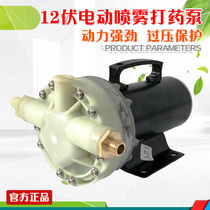 High pressure spray pump agricultural DC electric sprayer pump head irrigation 5-cylinder diaphragm pump self-priming sprayer 12V