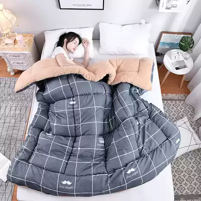 Winter Super Warm Flannel Comforter Duvet Quilt Blanket beds