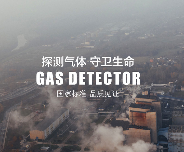 Портативный детектор газа_01.jpg