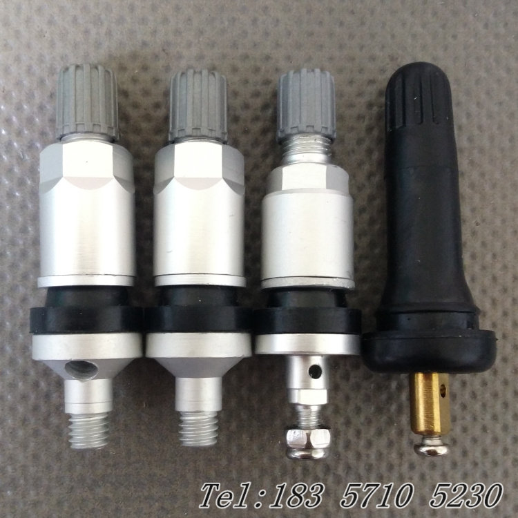 Suitable for Pentium X40 X80 X80 B50 B50 B90 B90 tire pressure monitoring sensor valve nozzle gas nozzle