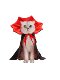 Halloween pet cloak per funny bat cloak cat clothes vampire cross-dressing photo dog clothes
