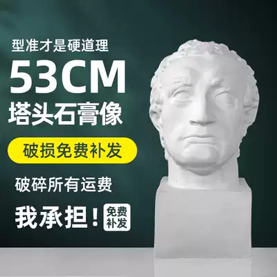 Garmina head plaster art teaching aids plaster head sculpture plaster sculpture sketch model