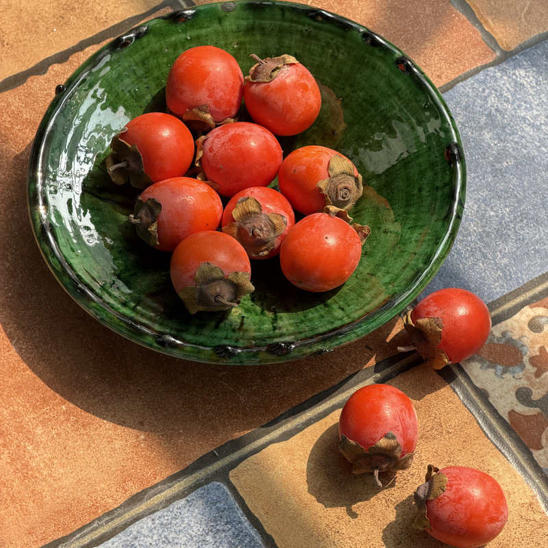 Moroccan Imported Handmade Coarse Pottery Green-Glazed Round Dinner Plate, Vintage French-Style Fruit Plate, High-End Decoration for Guesthouse Model Rooms