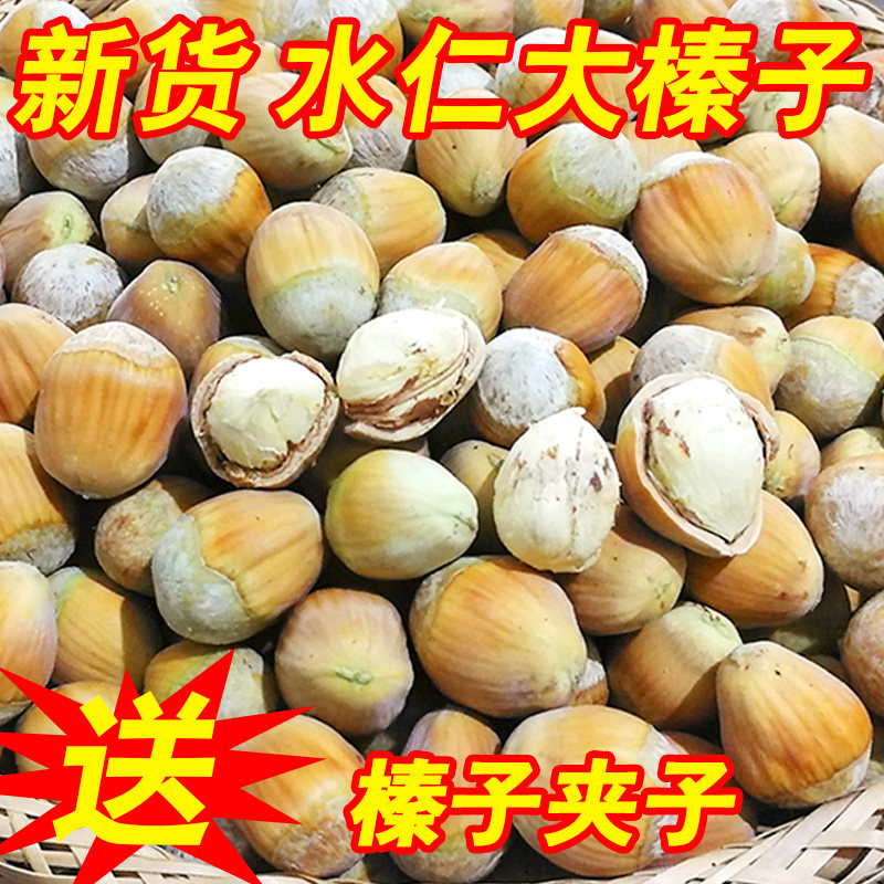 21 years of fresh hazelnuts, new goods, northeast wild without green skin water, water, flesh, Huanren, peeled raw hazelnut 500g