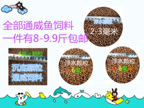 Tongwei brand Yuantang granular feed goldfish Koi fish food night fishing nest fishing black pit bait bulk