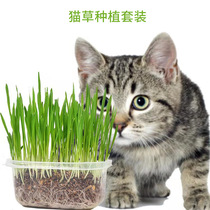 Handmade crystal mud planting set cat grass seed hydroponic set hair removal ball cleaning mouth handmade cat snacks
