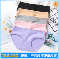 Pregnant womens underwear summer thin female pure cotton early pregnancy early pregnancy middle and late pregnancy maternal postpartum confinement shorts to wear inside