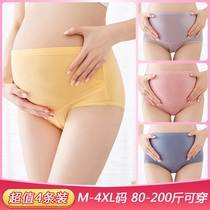  Pregnant womens underwear womens pure cotton summer pure cotton mid-and late-pregnancy high-waist belly support plus size early pregnancy early shorts to wear inside