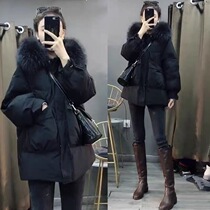 Pregnant woman winter clothing wool collar even cap down cotton clothing Warm Loose Jacket Fashion Cotton Clothing Cotton Padded Jacket Small