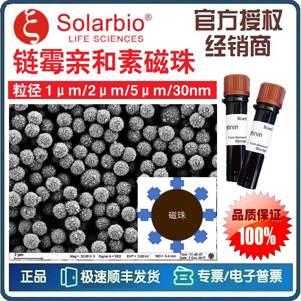 链霉亲和素磁珠 粒径1&mu;m/3&mu;m/5&mu;m/30nm 生物素磁珠 [索莱宝]