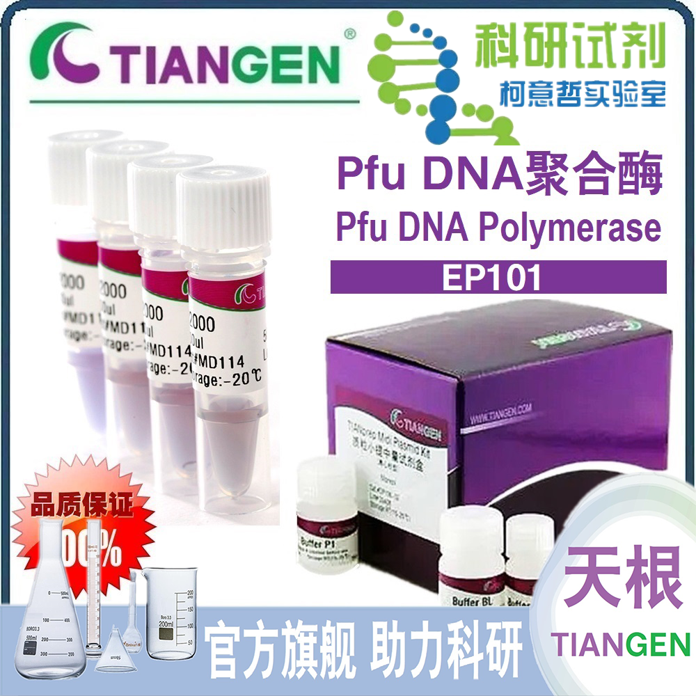 Pfu DNA 聚合酶 Pfu DNA Polymerase (EP101) [天根生化 TianGen]