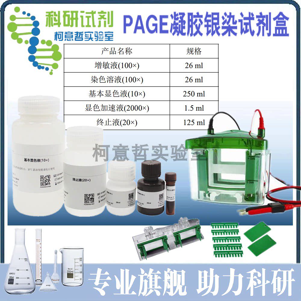 SDS-PAGE银染试剂盒 快速蛋白染色试剂 Koizee品牌实验室用 25次装