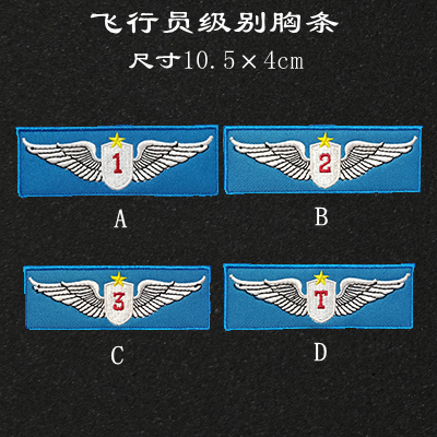 China aerospace pilot level jacket leather chest label commemorative badge armband velcro custom back film logo