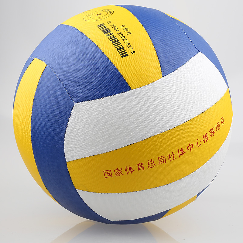 Ballon de volley - Ref 2013819 Image 6