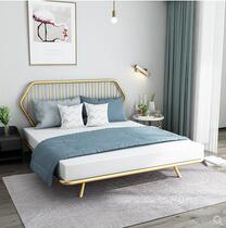 Nordic Iron Double Bed Light Luxury in Red Gold Princess Bed 1 8m 1 5m Modern Simple Apartment Bed