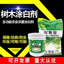 Tree trunks coated with white agents fruit trees garden forest greenery Anti-frost-proof and anti-frost and anti-frost and anti-frost lime powder