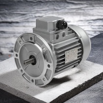 Shanghai Dedong Motor Factory national standard copper core 1400 rpm YS6314 6324 6334 aluminum shell three-phase motor