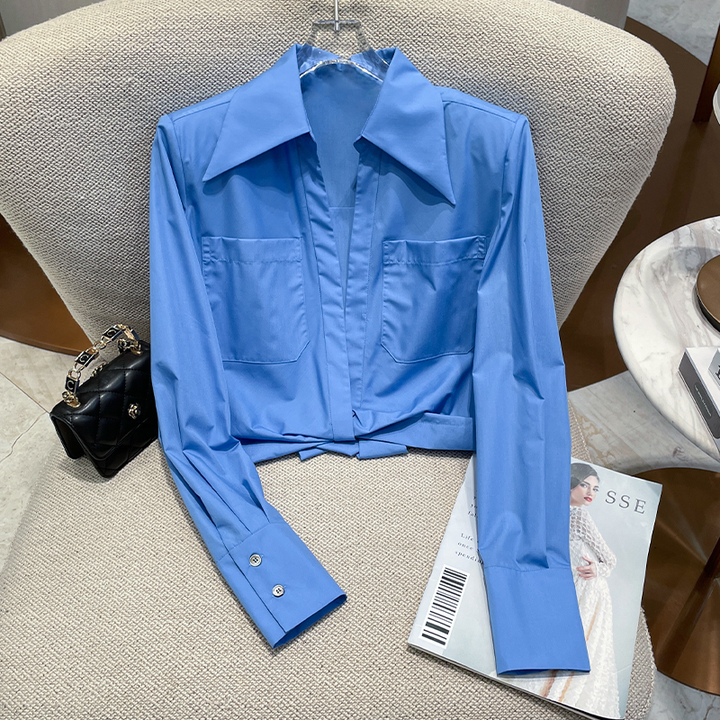 Petite Short Tops 2025 Autumn New Style Modern Elegant Lapel Long-Sleeve Shirts Women's Designer Shirts