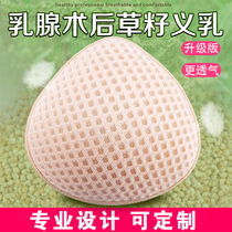 Postoperative breast cancer special grass seed milk lightweight breathable non-silicone bra fake breast female bra simulation