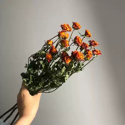 INS Autumn orange multi-head rose dried flower bouquet Fruit bubble rose dried flower Home decoration shooting props