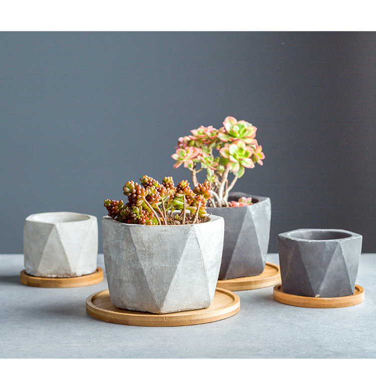 Color porcelain creative Nordic contracted more than meat pot Color cement the plants flower pot basin of cactus load device without basin