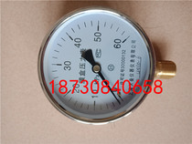 YE100 natural gas pressure gauge bellows pressure gauge micropressure gauge kPa gauge 0-40KPA 60kpa