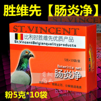 Victorious first dove medicine (enteritis net) powder 5 gr * 10 sacks of racing pigeon intestinal bacterial virus Shengwei First enteritis net