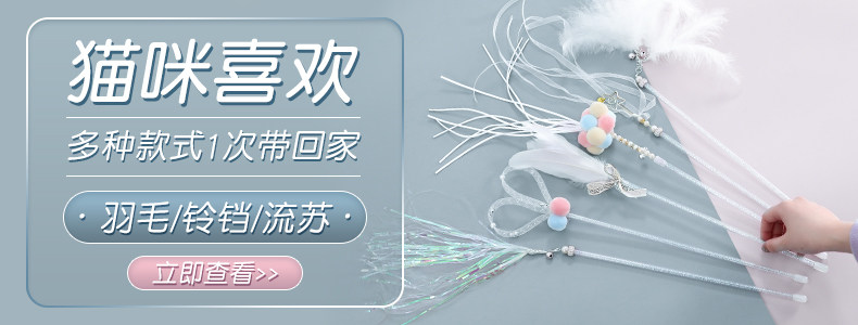 Пользователь 20210106