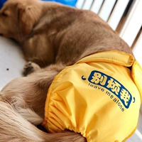 Физиологичные штаны, гигиеническая прокладка, безопасное нижнее белье