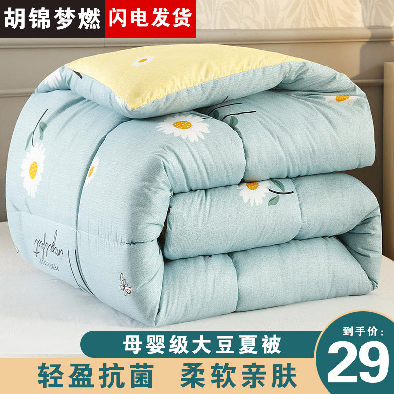 Spring and summer quilt single and double dormitory students summer cool quilt quilt core four seasons universal air-conditioning quilt