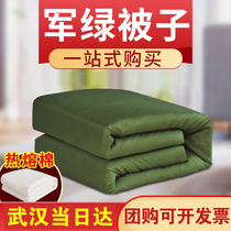 Unit dormitory quilt cotton is folded by green cotton bedding pure cotton interior shelter
