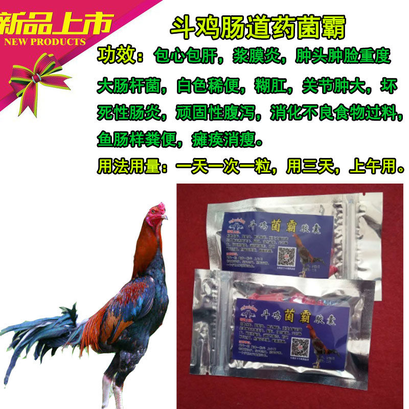 Cockfighting supplies Fighting cockfighting bacteria tyrants Fighting cock intestinal medicine Fighting cocks diarrhea Pulloral diarrhea Fighting cocks with swollen head and diarrhea