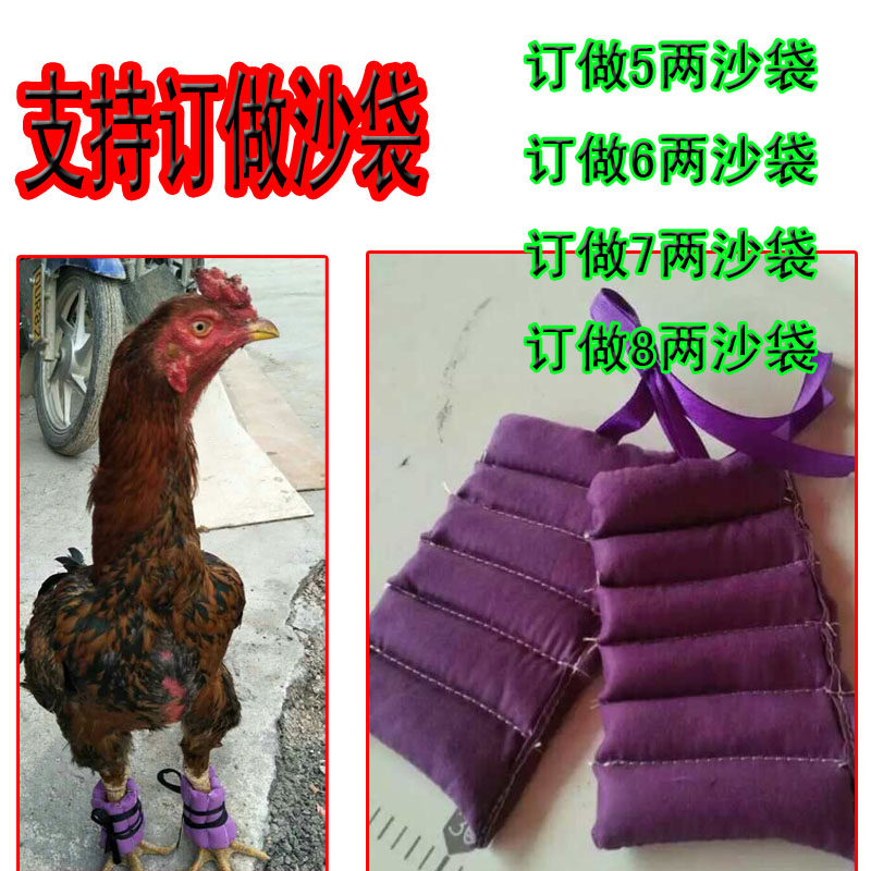 Fighting Chicken Supplies Fighting Chicken Sandbag Fighting Chicken Training Sandbags Booking Made Sandbag Fighting Chicken Back Sandbag Fighting Chicken Feet Cover
