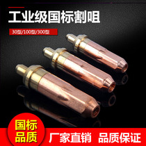 GB brass cutting nozzle oxygen acetylene propane gas cutting G01-30 100 300 ring plum blossom gas cutting