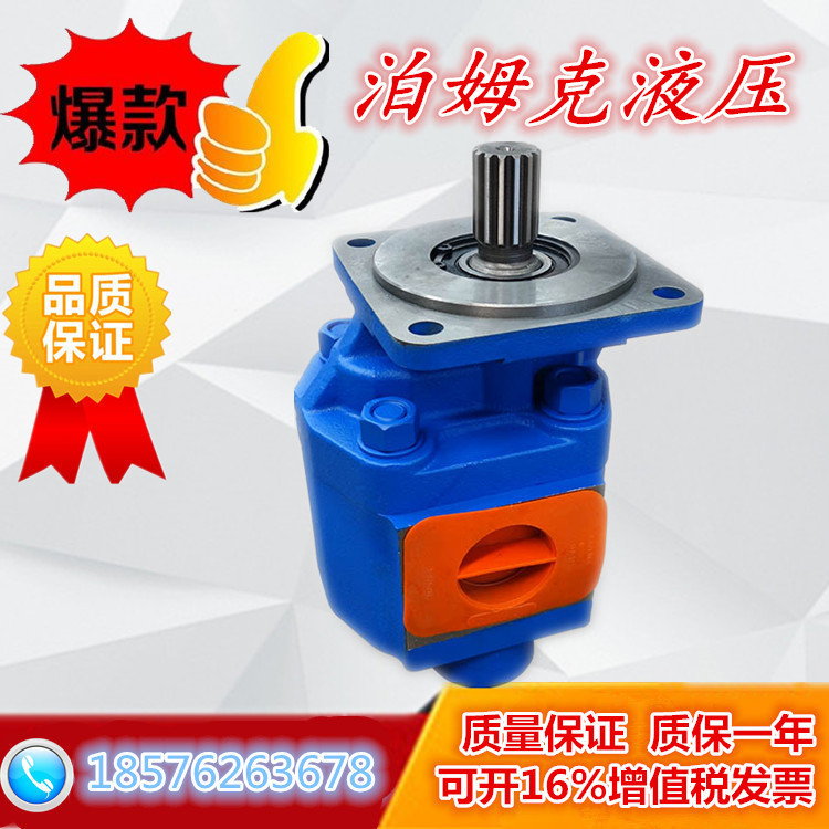 Bermke gear pump willow work building special gear pump for tooling special gear pump P7200-F160NM4676G