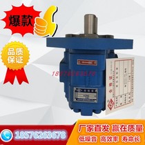 Sichuan Changjiang gear pump CBY2025-1TR CBY2016-1FR CBY2032 CBY2040-1TL FL
