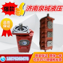 CBGJ3160 CBGJ2032 2040 2050 2063 2080 2100-XF-pump gear pump