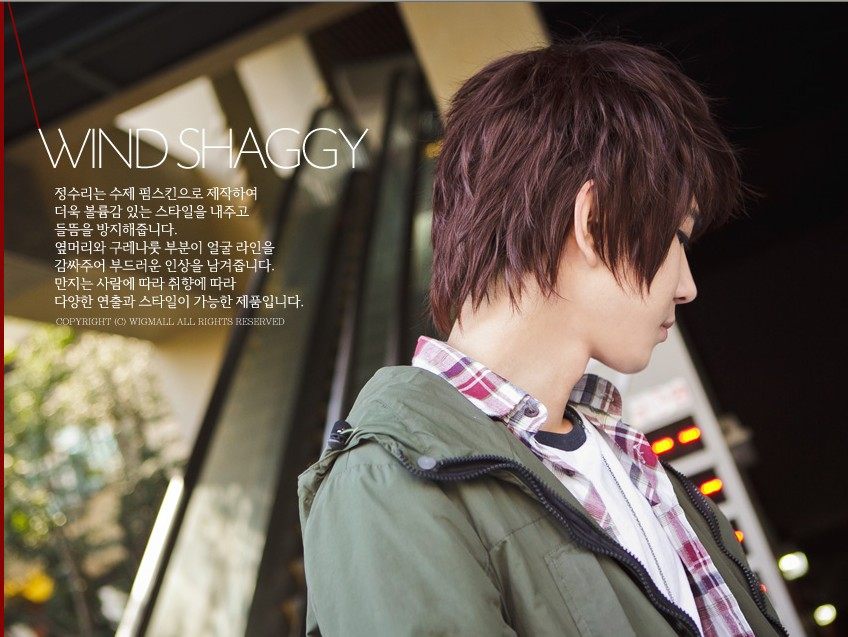 Perruque OTHER   cheveux raides Court - Ref 2609344 Image 11