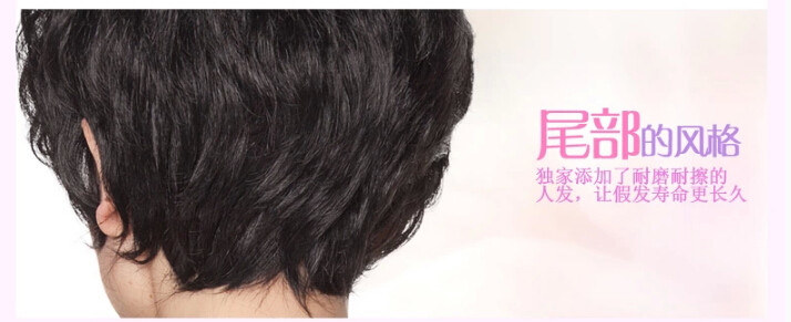 Perruque OTHER   cheveux courts - Ref 2610007 Image 10