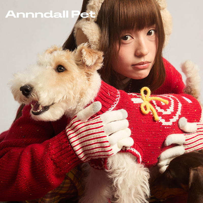 Andall Dog Clothes Red Sweater Family Matching Outfit West Highland Dachshund Teddy Foxhound Spring Pet Clothes