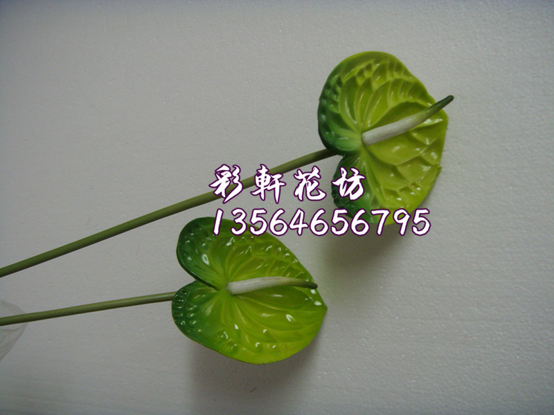 5 gói mô phỏng anthurium mô phỏng cọ xanh hoa giả hoa lụa cao cấp hoa nhựa hoa flamingo hoa Anzu - Hoa nhân tạo / Cây / Trái cây hoa hồng giả đẹp