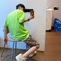 Флуоресцентный, (в наличии на складе)