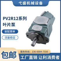 Double vane pump PV2R12-6 8 10 12 14 17 23-31-F-REAA-41 extended version quantitative pump