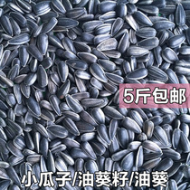 Black Pearl melon seed sunflower seed oil sunflower seed Parrot bird food pigeon food 250g