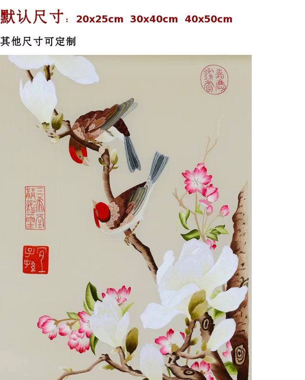 Su thêu tự thêu khâu người mới bắt đầu nhập bộ thêu tay hoa văn Lang Shining hoa và chim không cơ bản dễ học