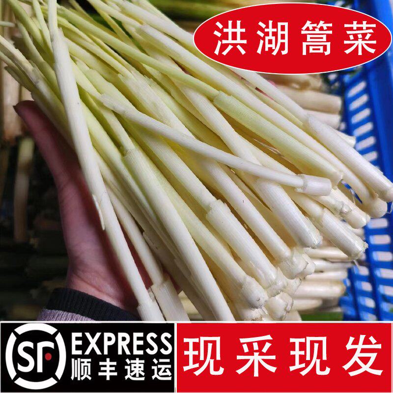 洪湖野生篙菜,吃货们,你们的春天来啦!新鲜野菜,顺丰包邮,尝鲜必备!🌱🍃-其它-淘宝好物网