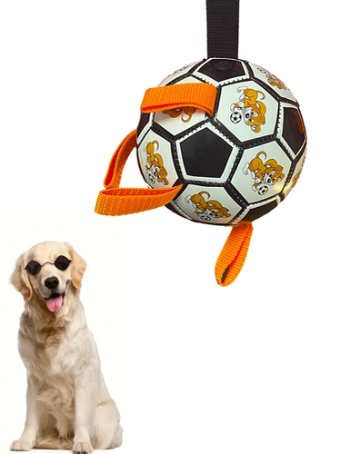 Собачья футбольная игрушка для собак Ball Beipin Corconci Training Dog Pets Pets Pet Bal