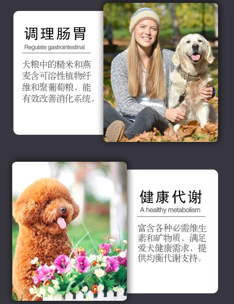 [gửi thức ăn cho chó] Li sói thức ăn cho chó sói bộ lạc chó trưởng thành 8kg chó đầy đủ giống chó gấu bông vàng samo - Chó Staples thức ăn royal canin cho chó