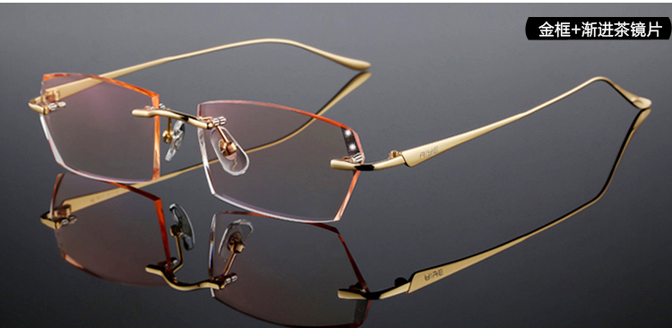 Montures de lunettes en Titane pur - Ref 3140786 Image 13