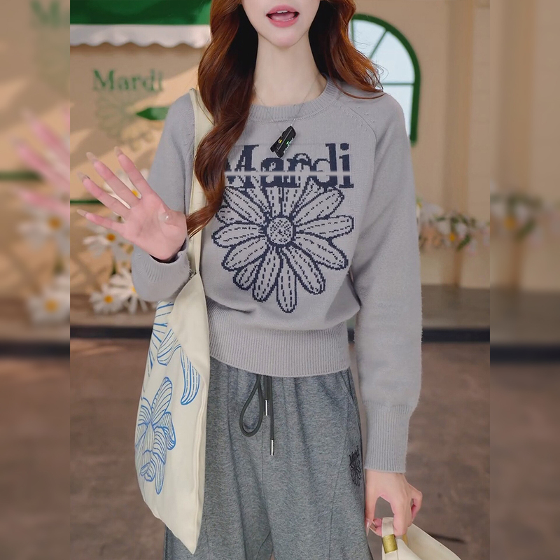 Little Daisy Jacquard Gray Long-Sleeved Knitwear Women's Autumn and Winter Round Neck Pullover Knitwear 2026 New Loose Top